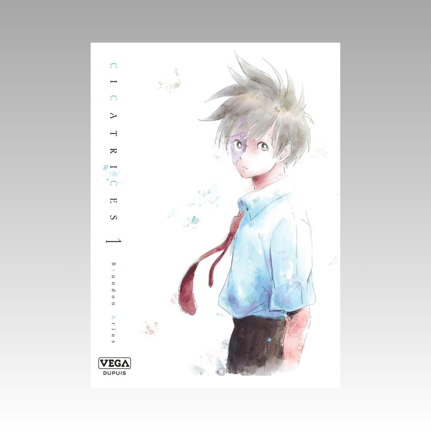 Cicatrices. Tome 1