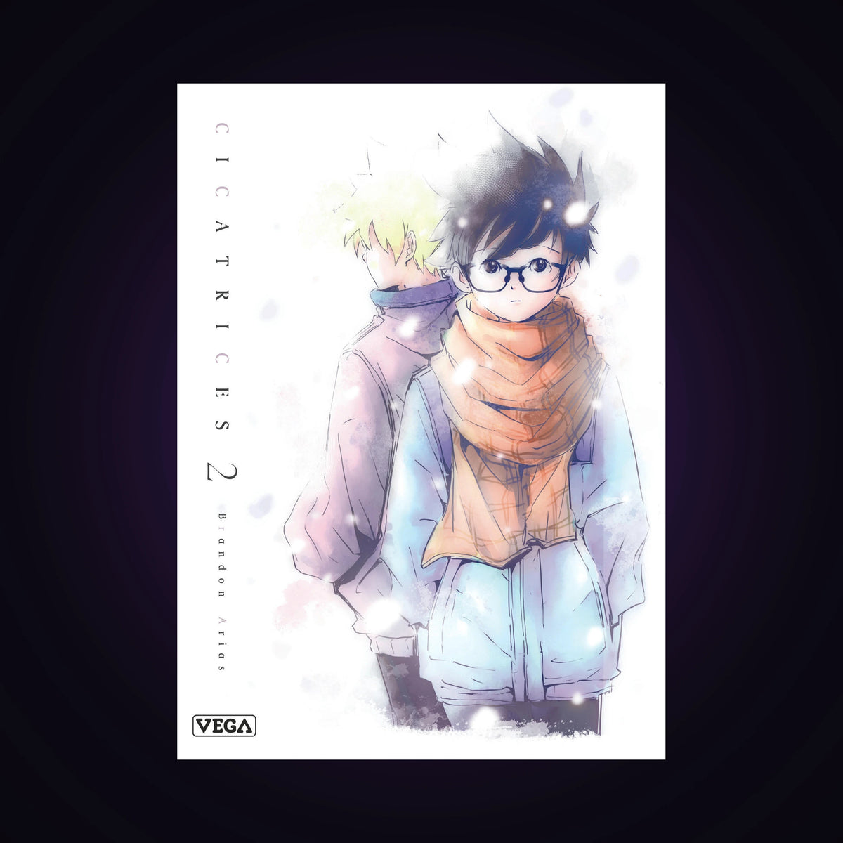 Cicatrices. Tome 2