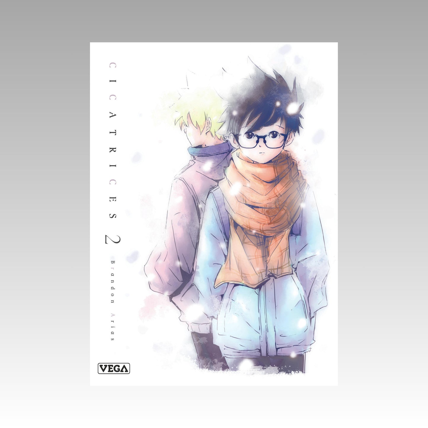 Cicatrices. Tome 2