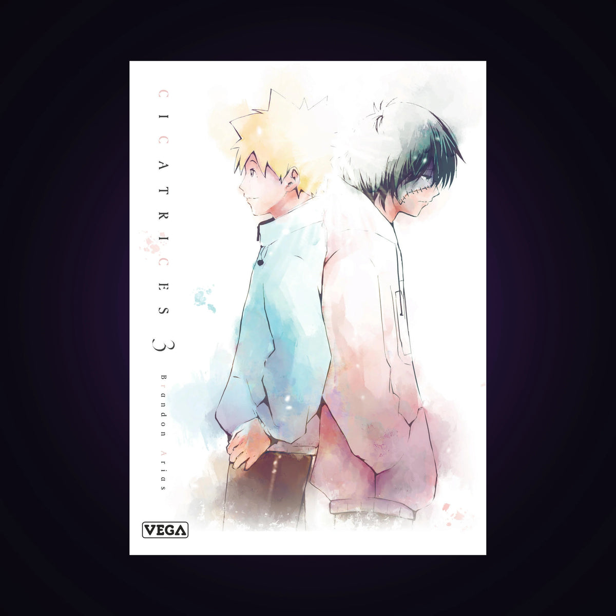 Cicatrices. Tome 3