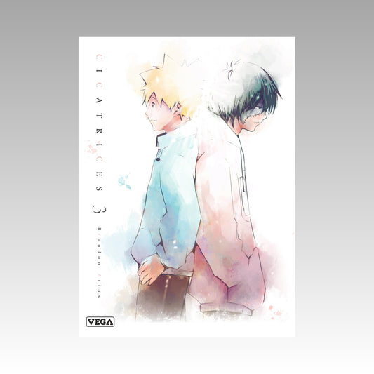 Cicatrices. Tome 3