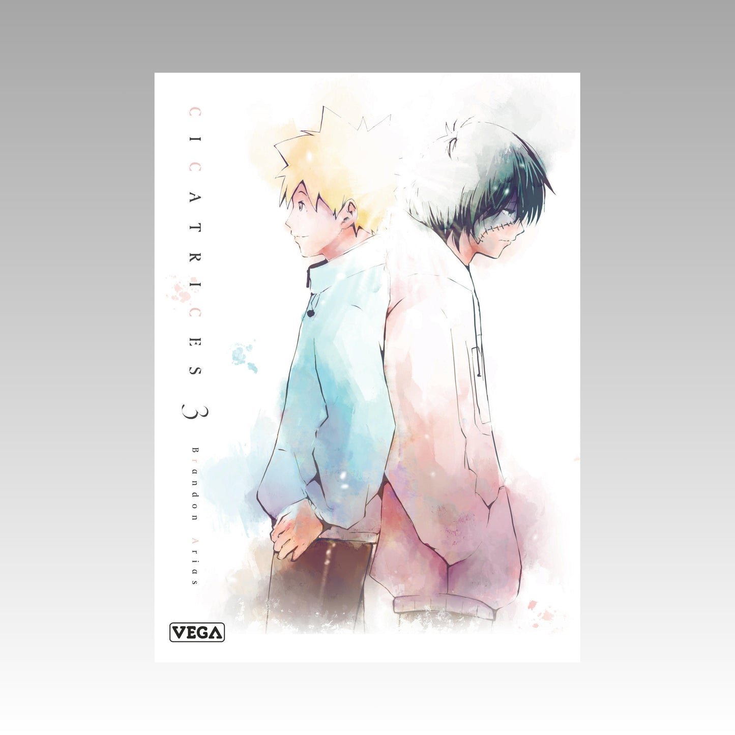 Cicatrices. Tome 3