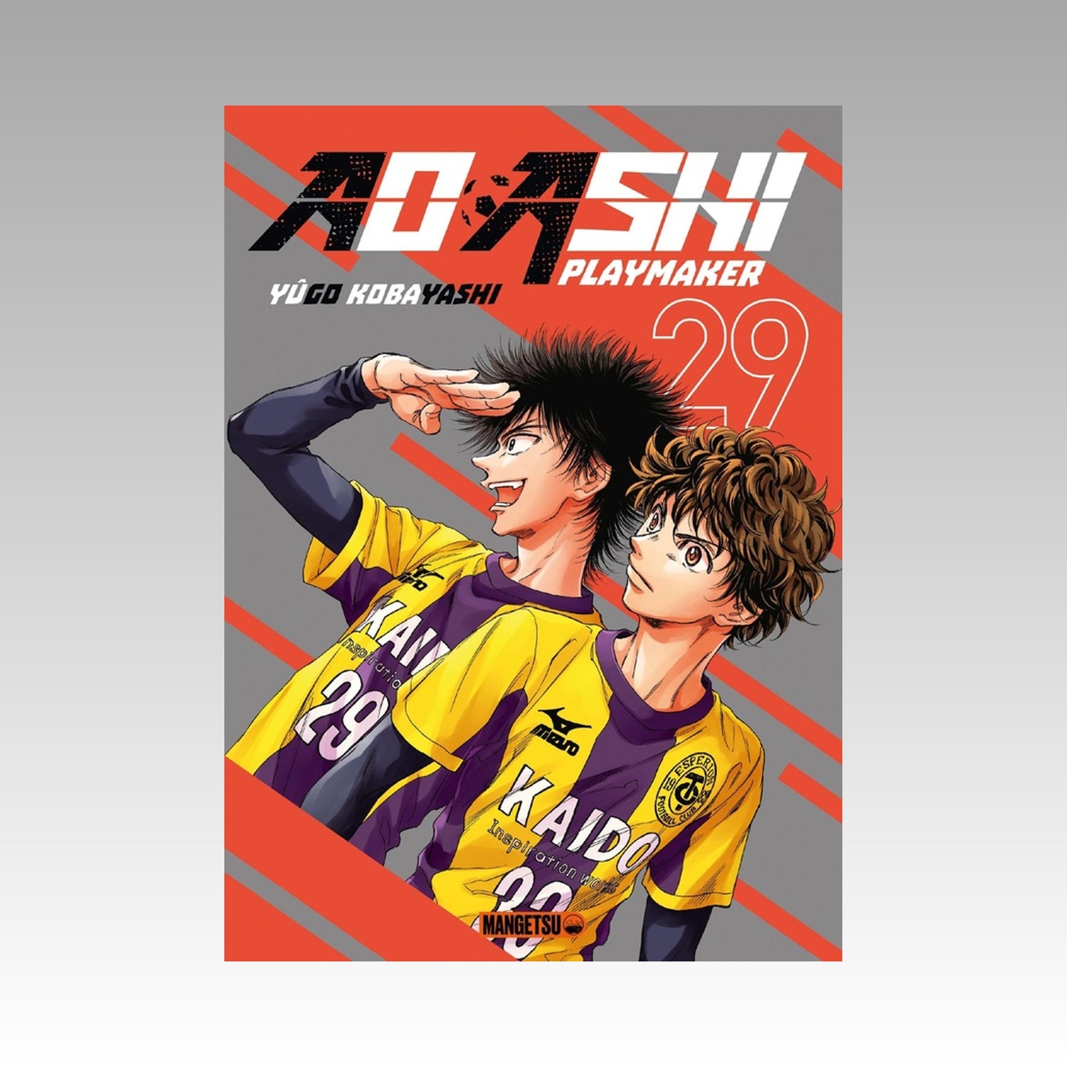 Ao Ashi - Playmaker. Tome 29