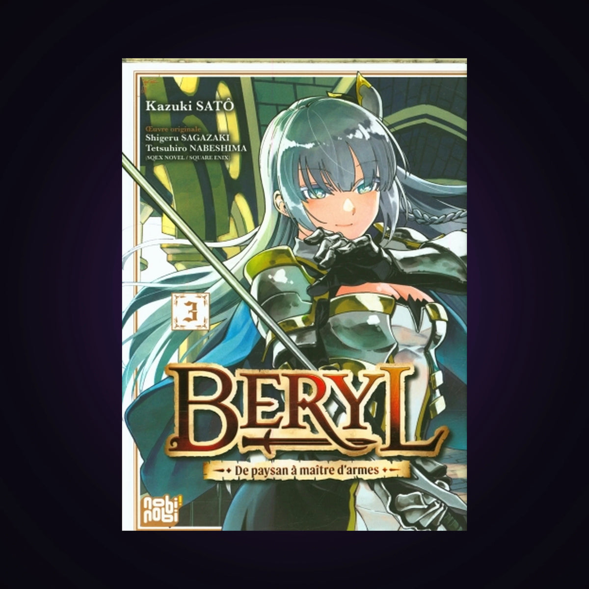 Beryl - De paysan à maître d'armes. Tome 3