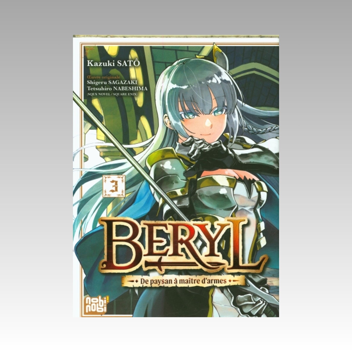 Beryl - De paysan à maître d'armes. Tome 3