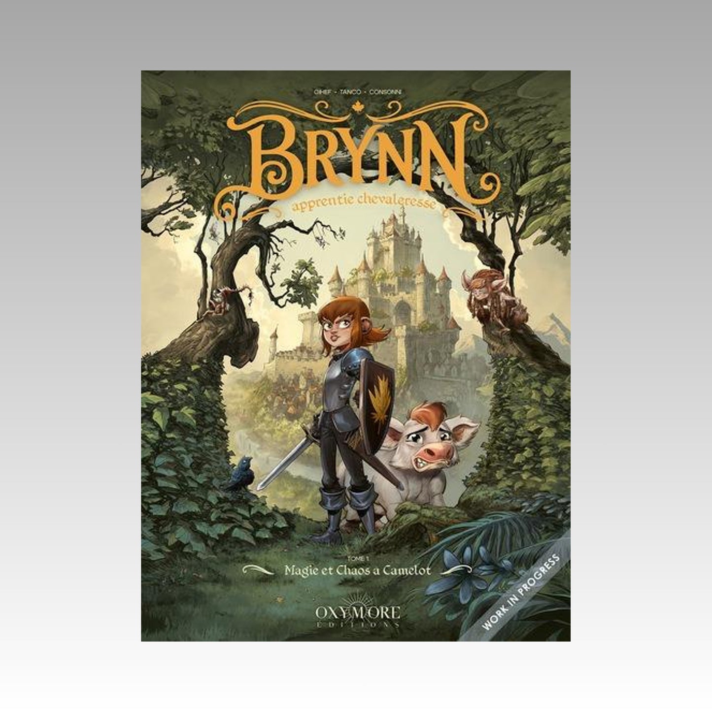 Brynn - Apprentie chevaleresse. Tome 1