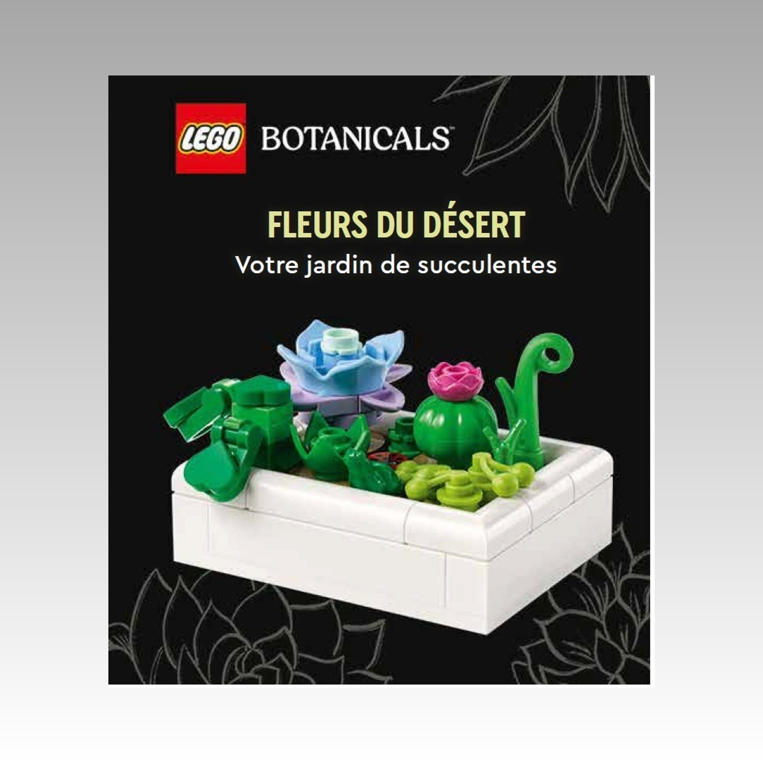 Lego Botanicals - Fleurs du désert - Votre jardin de succulentes