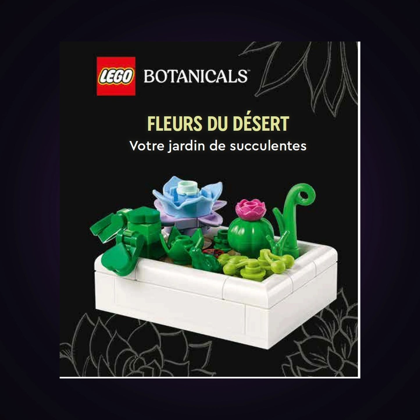 Lego Botanicals - Fleurs du désert - Votre jardin de succulentes