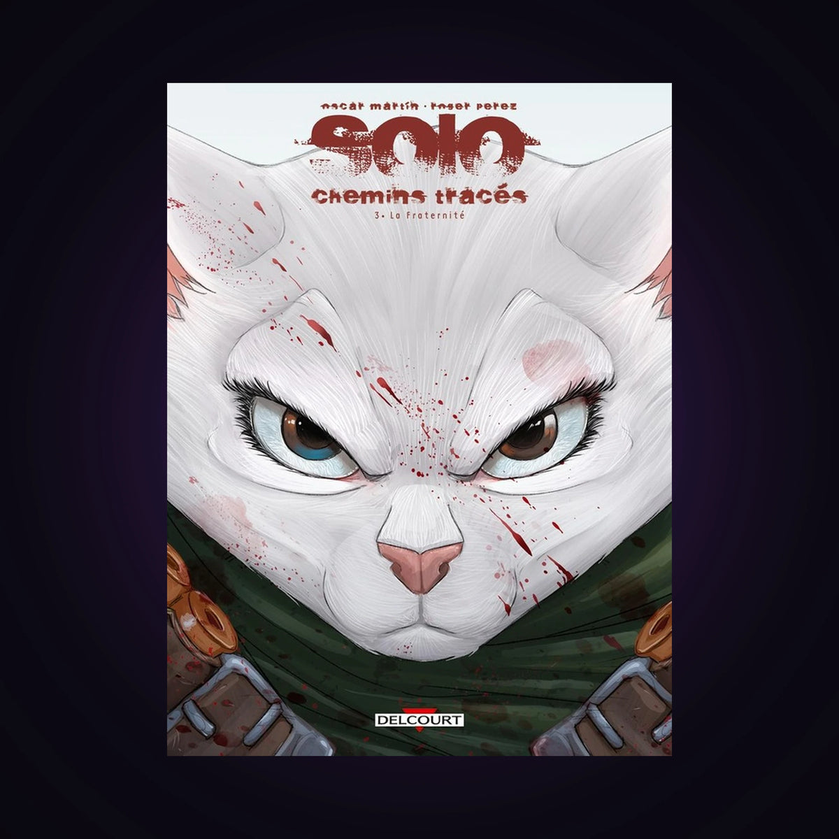 Solo - Chemins tracés. Tome 3