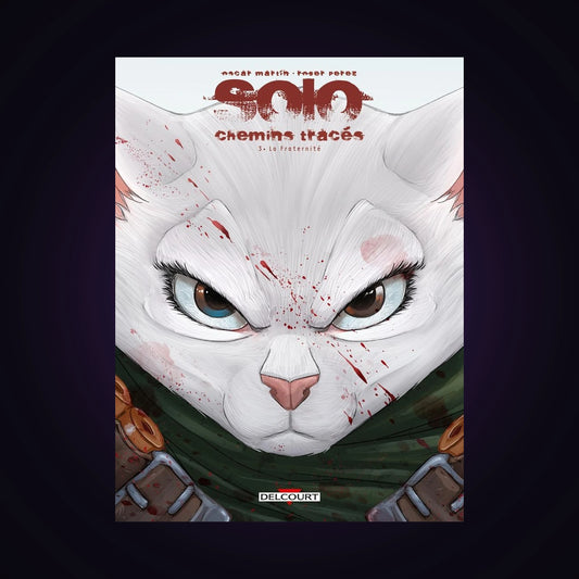 Solo - Chemins tracés. Tome 3