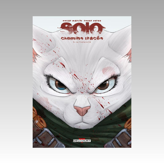 Solo - Chemins tracés. Tome 3