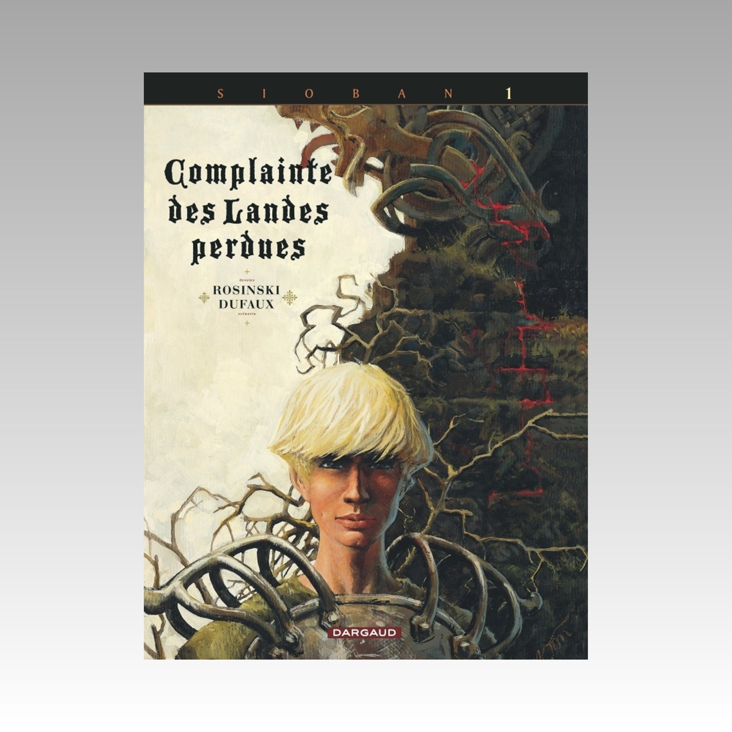 Sioban. Tome 1 - Complainte des Landes perdues