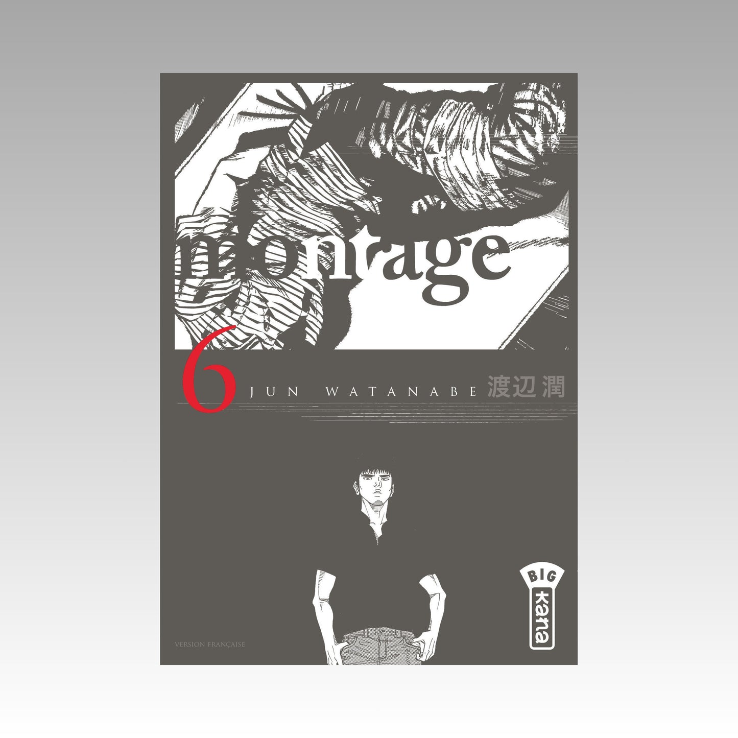 Montage. Tome 6