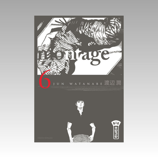 Montage. Tome 6