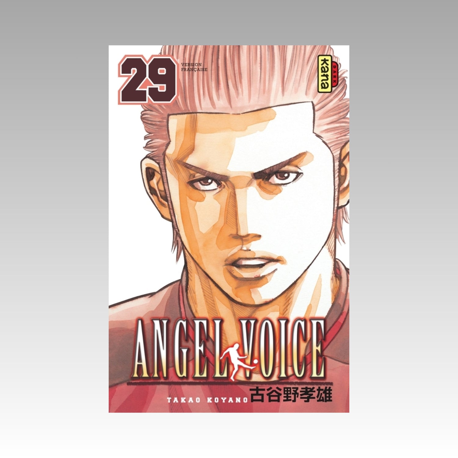 Angel Voice. Tome 29