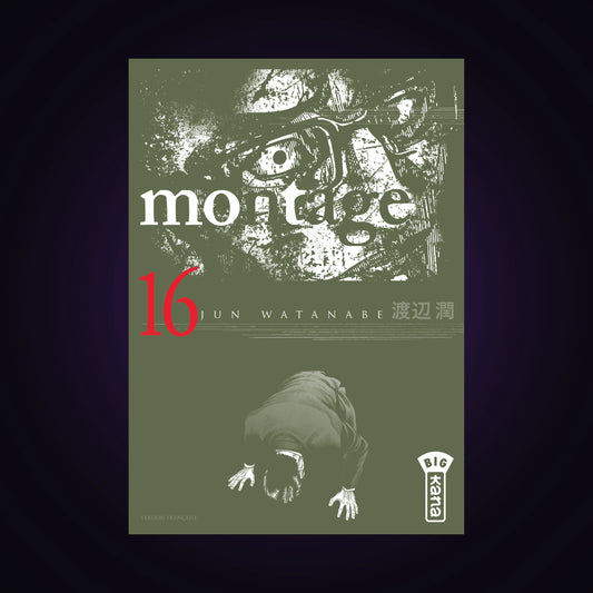 Montage. Tome 16