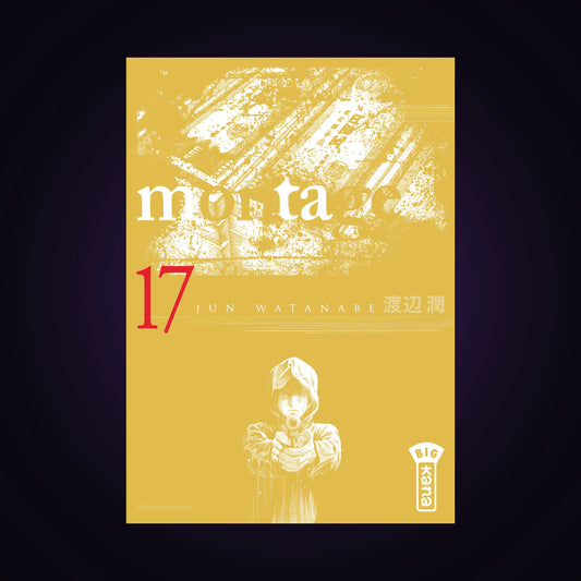Montage. Tome 17
