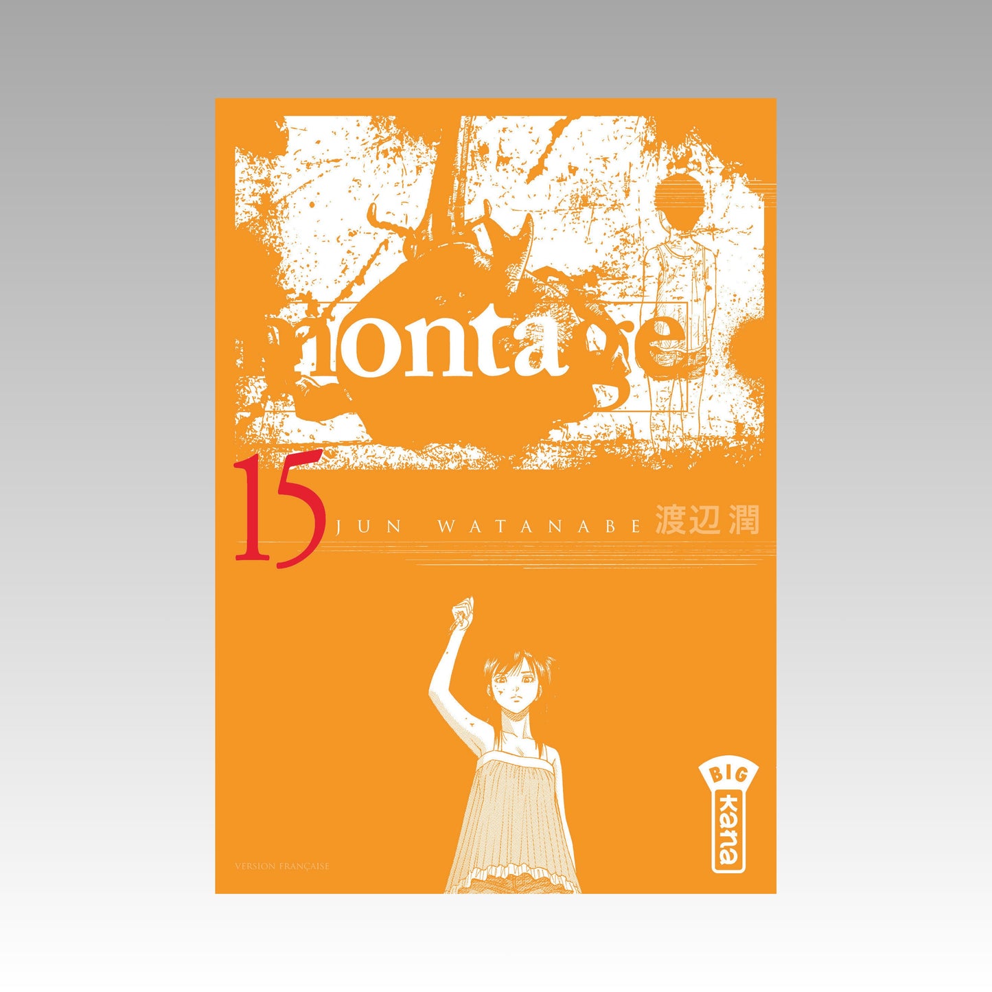 Montage. Tome 15