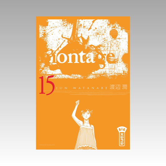 Montage. Tome 15