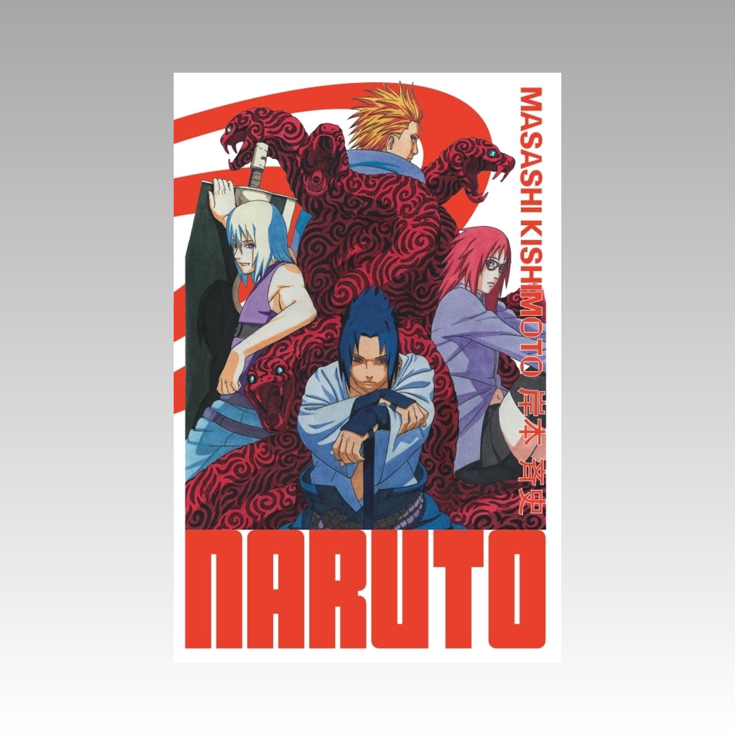 Naruto. Tome 20 - Edition Hokage