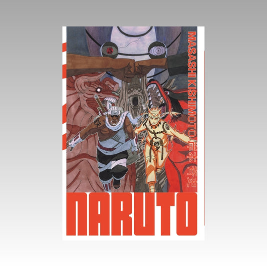 Naruto. Tome 29 - Edition Hokage