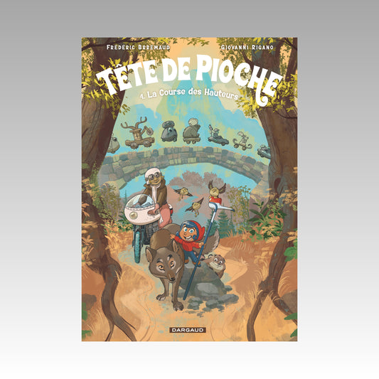 Tête de Pioche. Tome 4