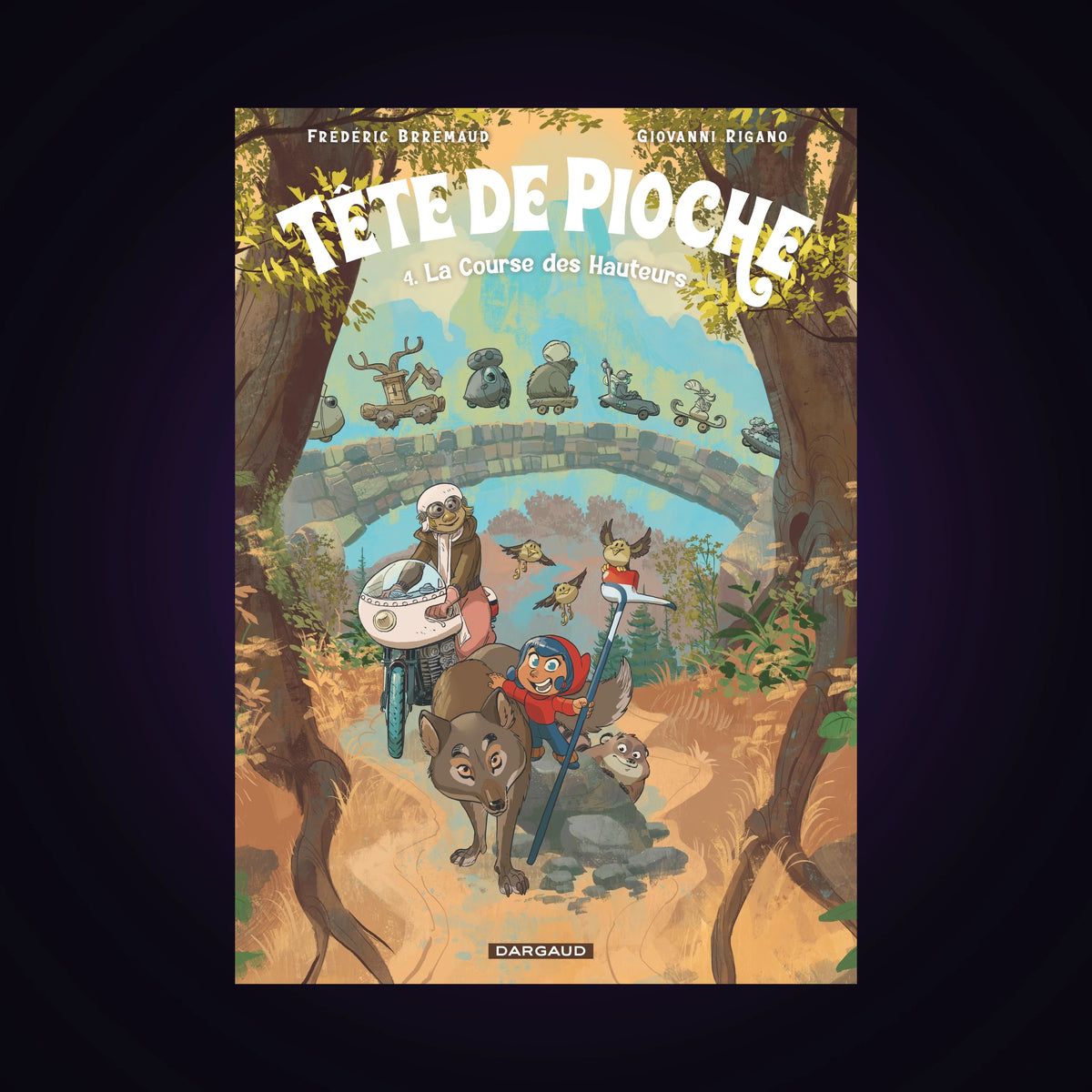 Tête de Pioche. Tome 4