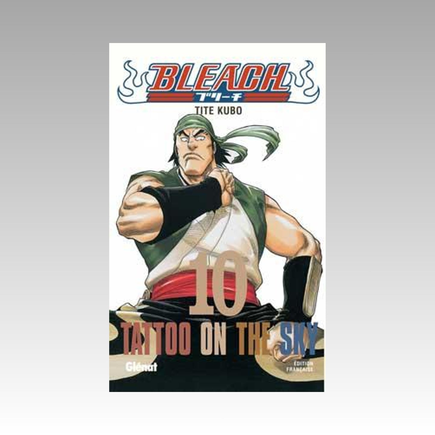 Bleach. Tome 10