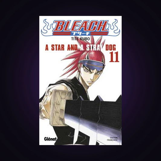 Bleach. Tome 11