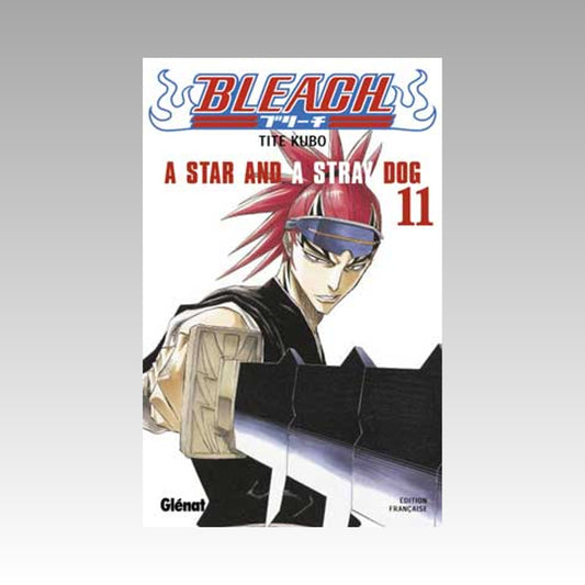 Bleach. Tome 11