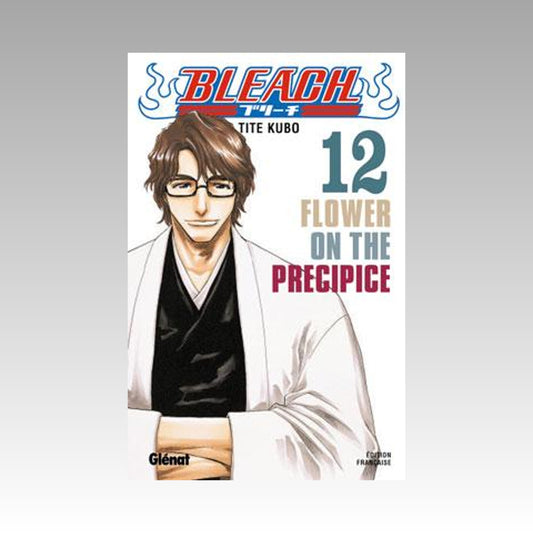 Bleach. Tome 12