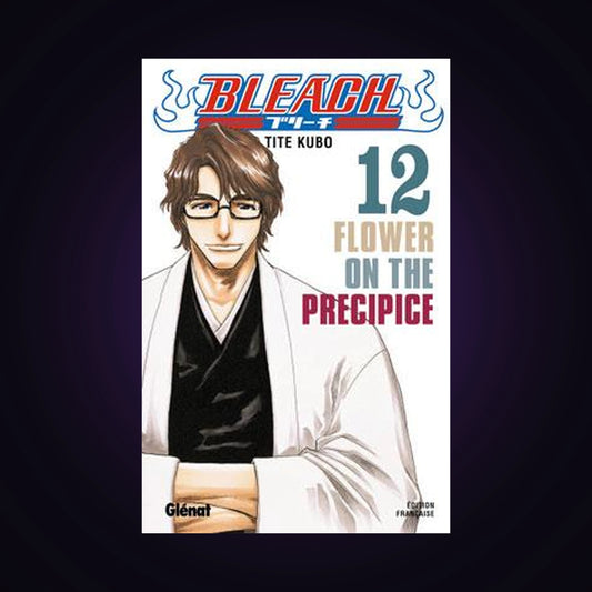 Bleach. Tome 12