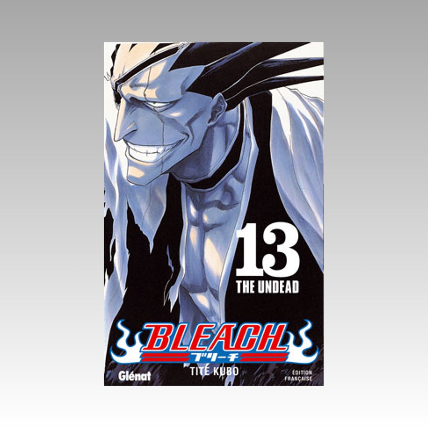 Bleach. Tome 13