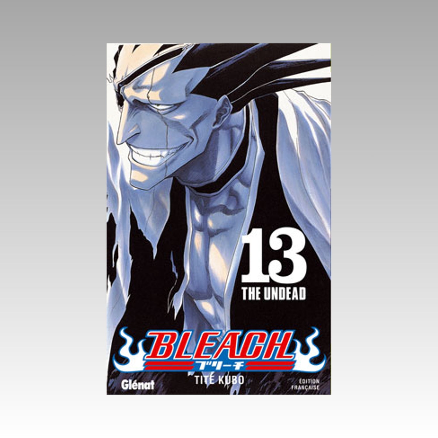 Bleach. Tome 13