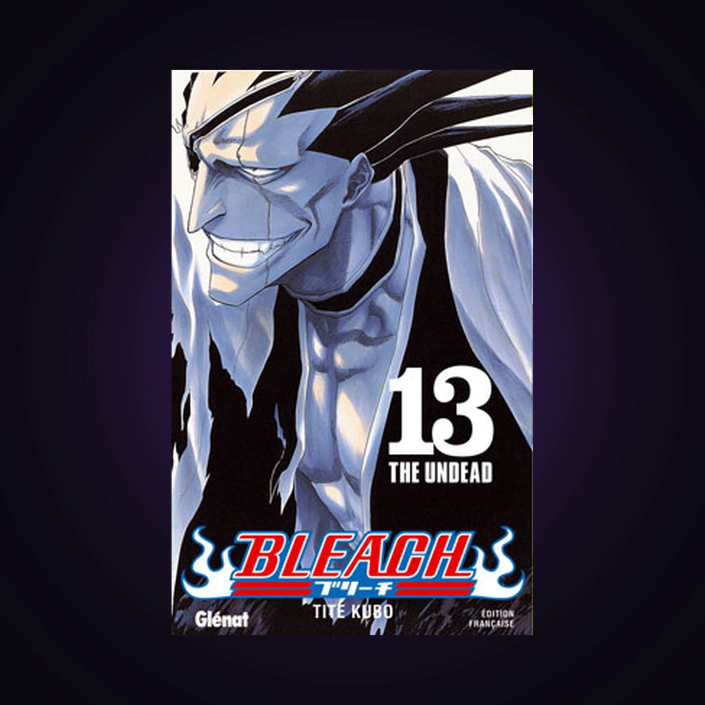 Bleach. Tome 13