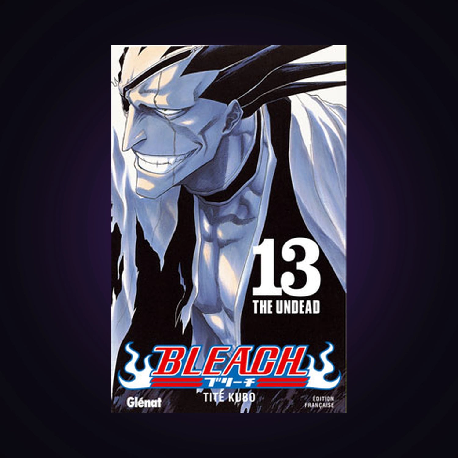 Bleach. Tome 13
