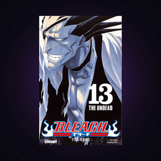 Bleach. Tome 13