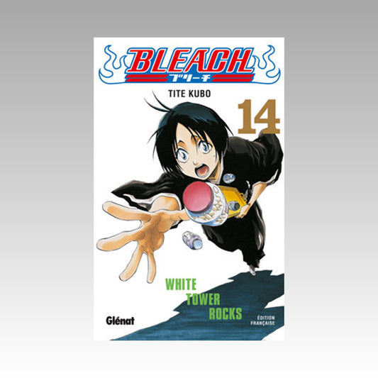 Bleach. Tome 14