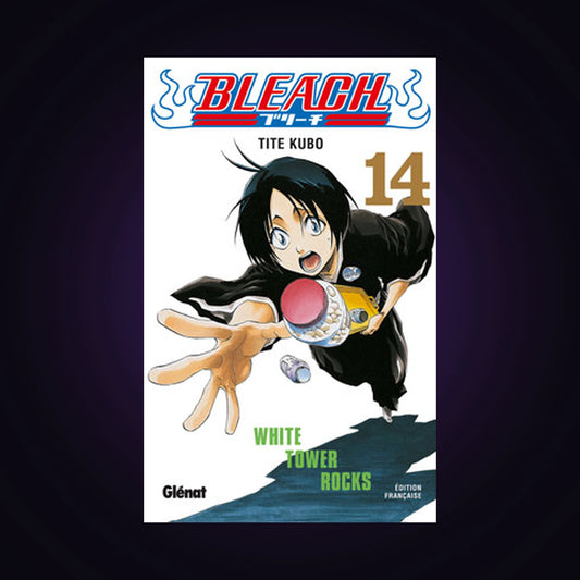 Bleach. Tome 14