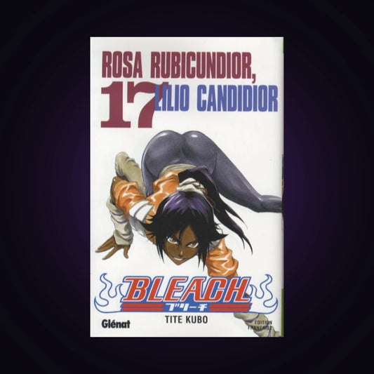 Bleach. Tome 17
