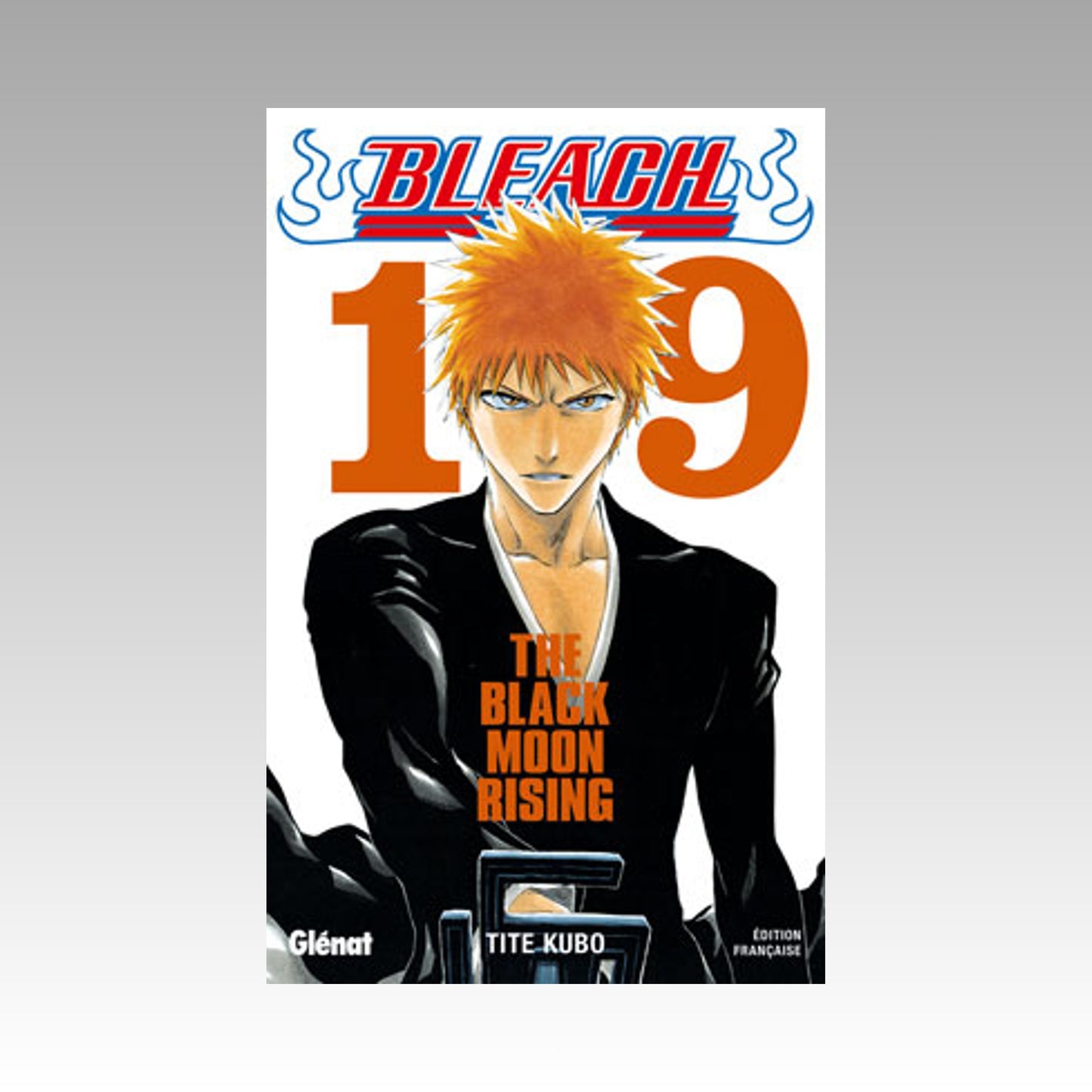 Bleach. Tome 19