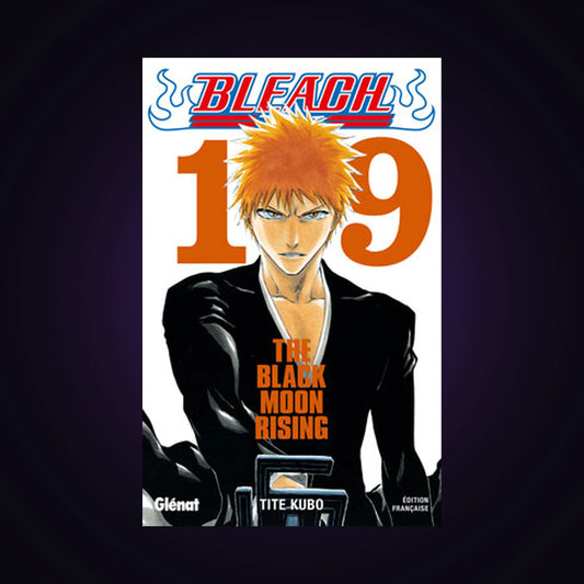 Bleach. Tome 19