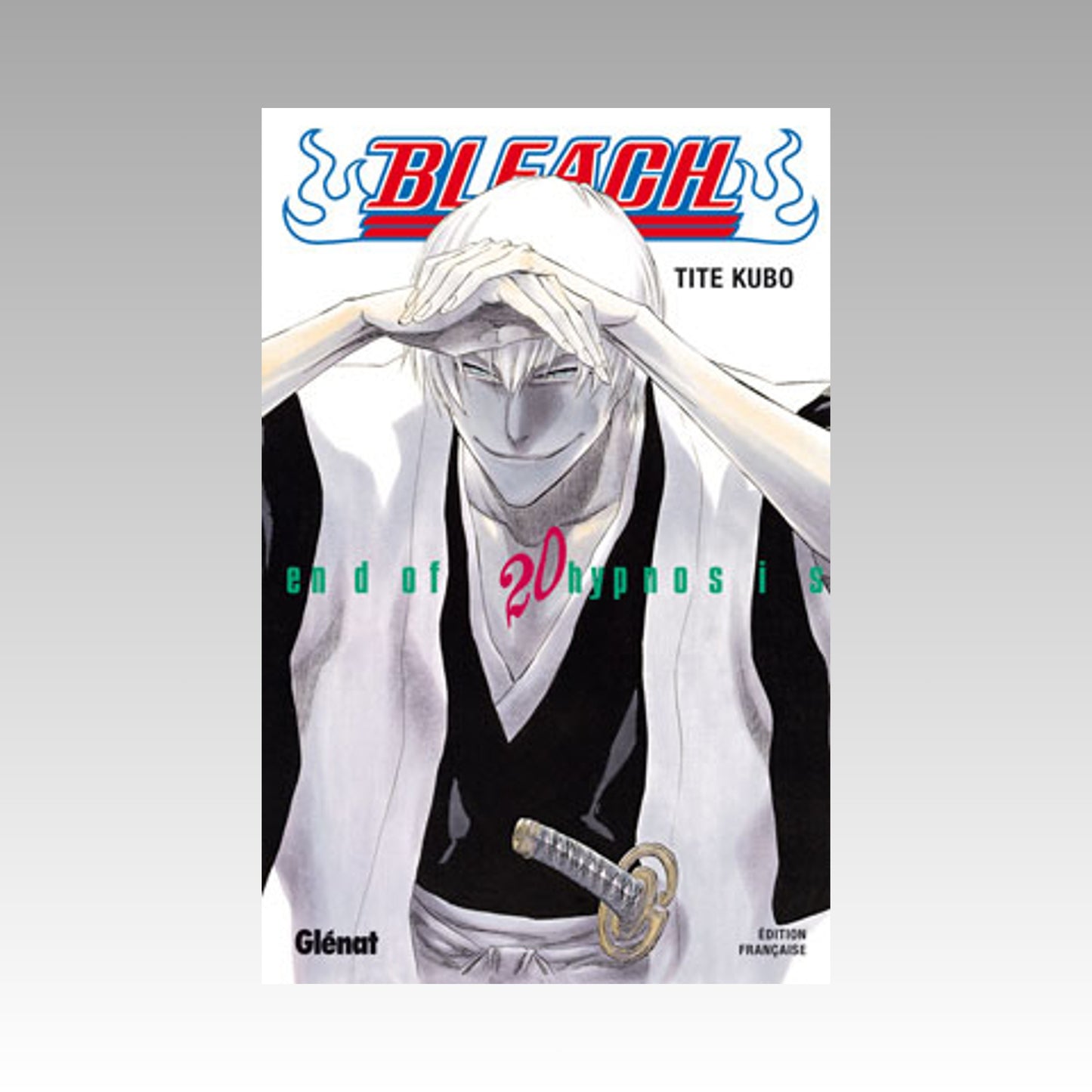 Bleach. Tome 20