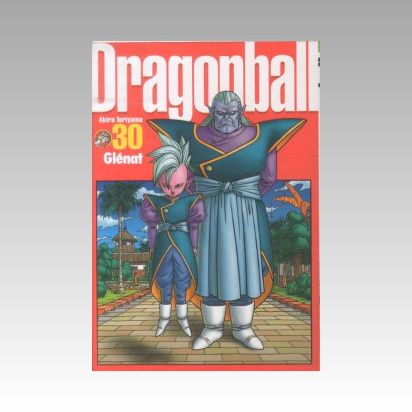 Dragon Ball - Perfect Edition. Tome 30