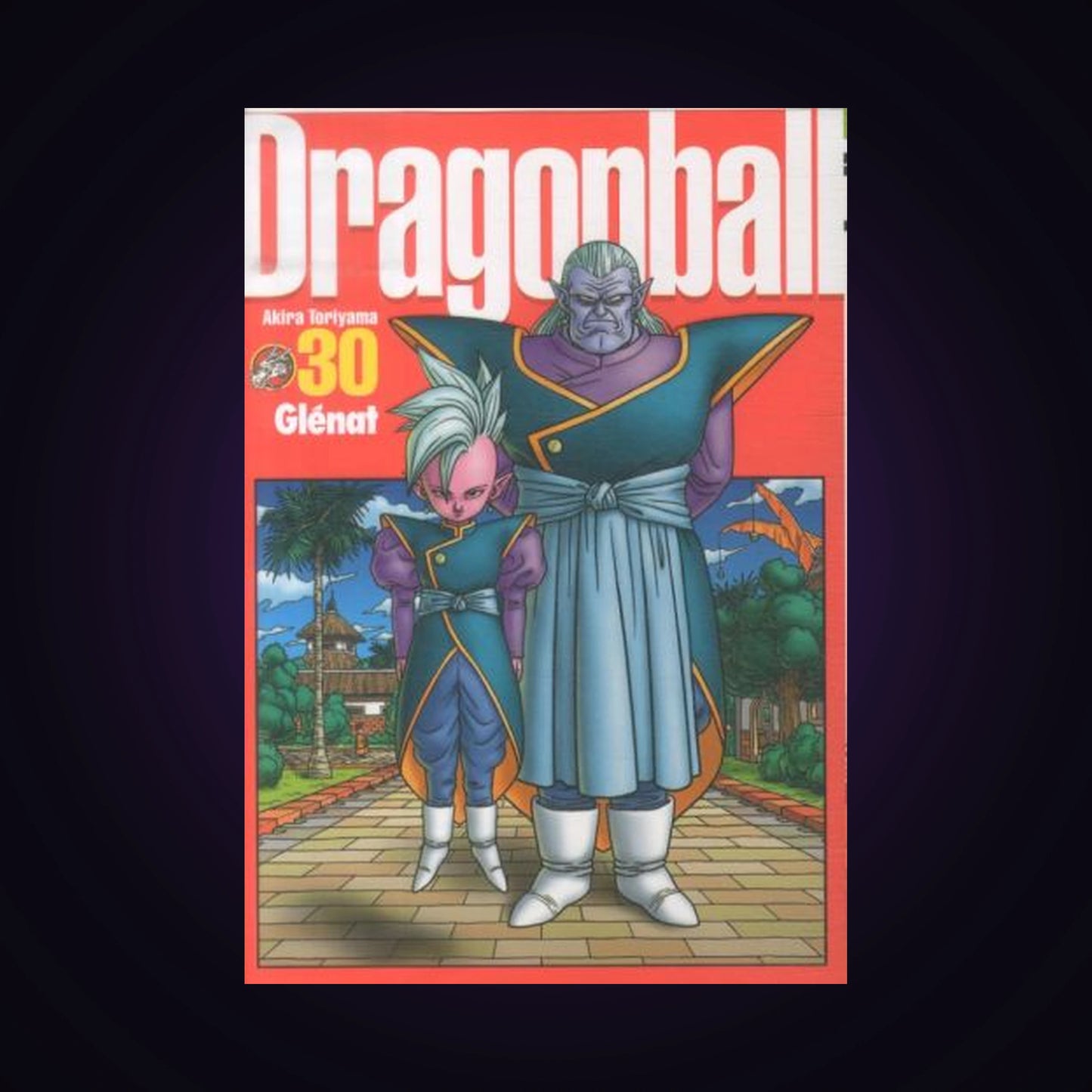Dragon Ball - Perfect Edition. Tome 30