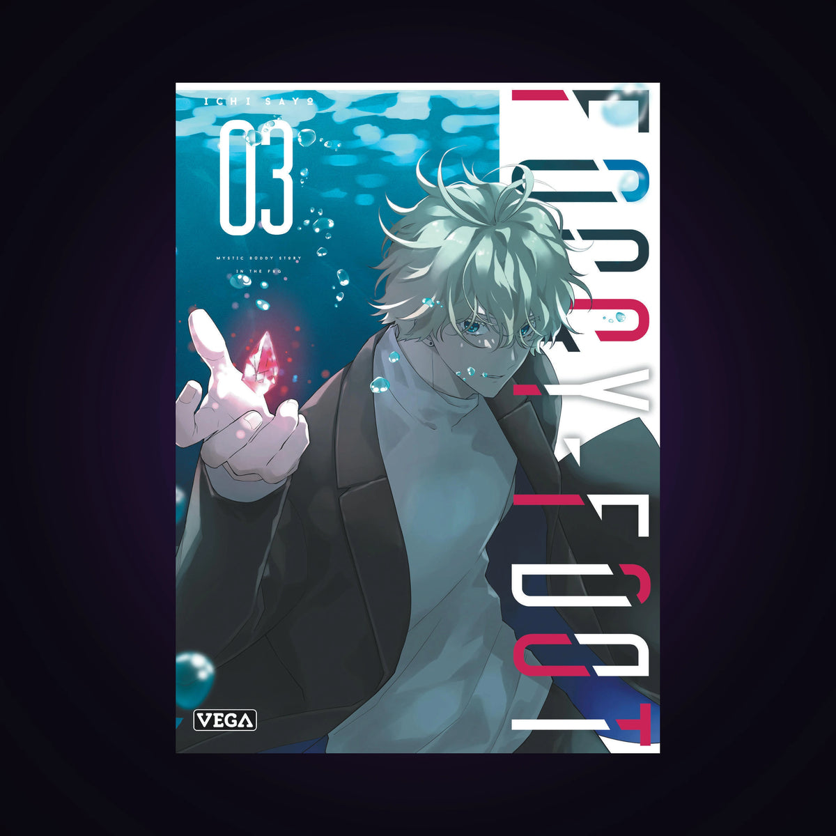 Foggy Foot. Tome 3