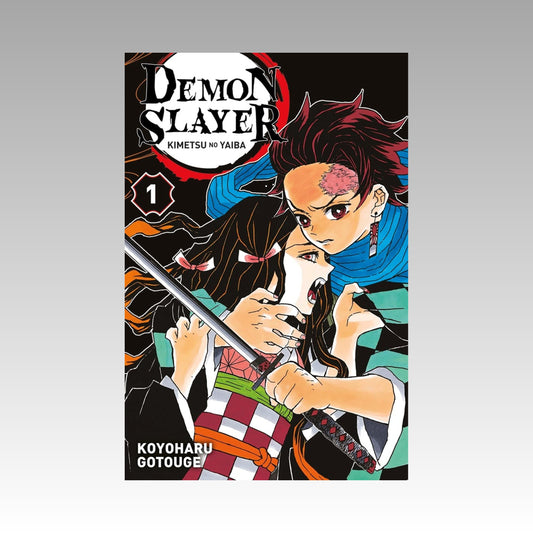 Demon Slayer. Tome 1