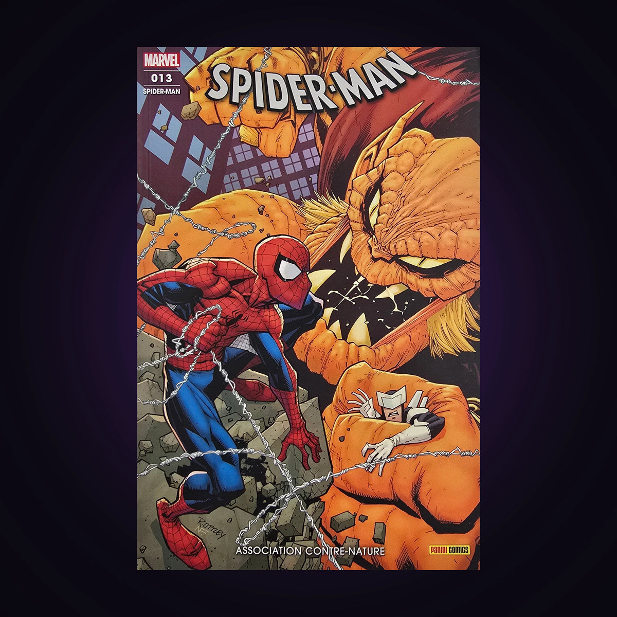 Spider-Man. N°13