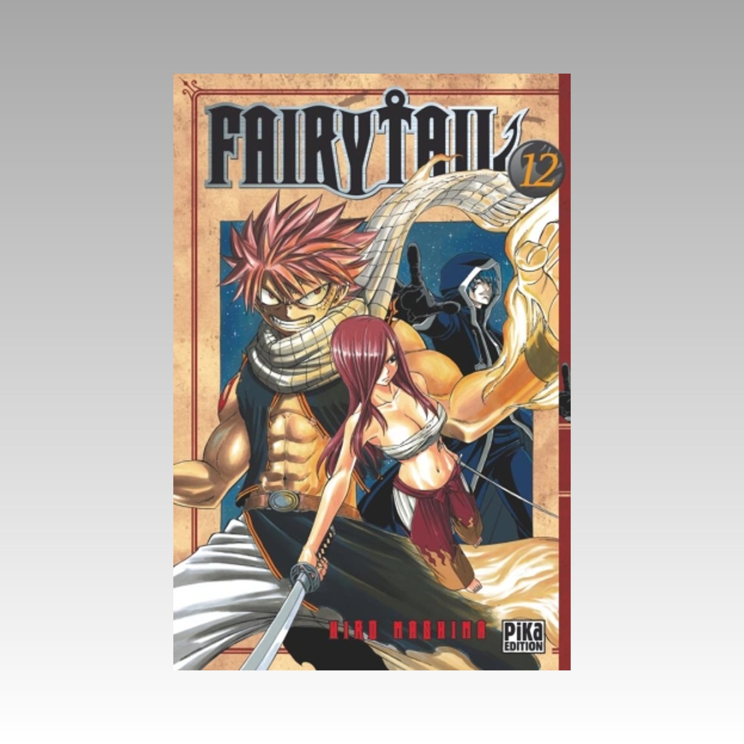 Fairy Tail. Tome 12