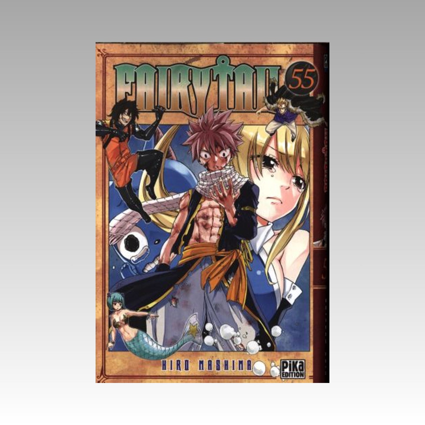 Fairy Tail. Tome 55